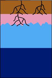 subirrigation logo